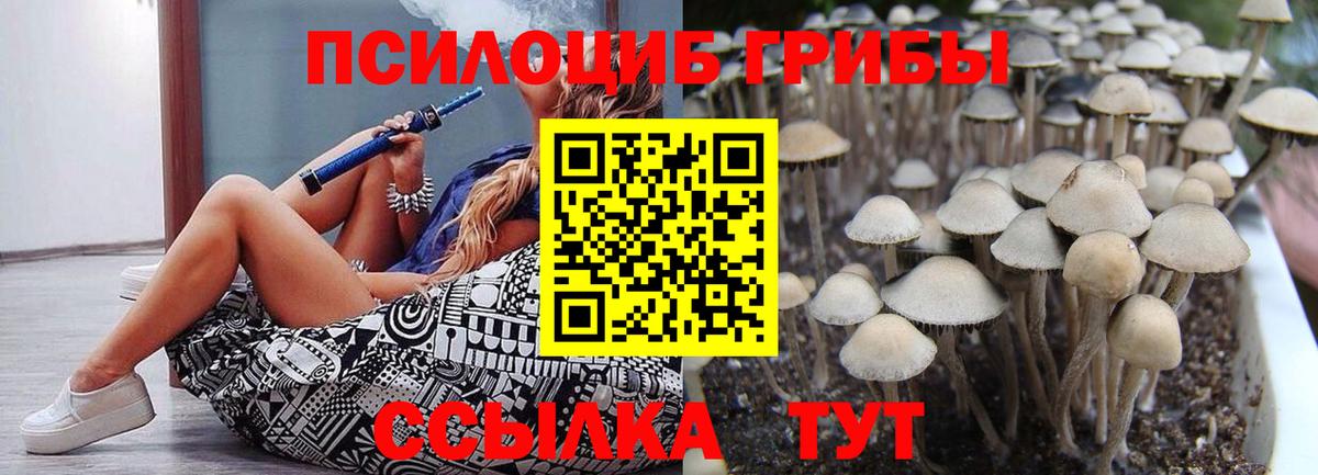 Галлюциногенные грибы Psilocybine cubensis Пыть-Ях