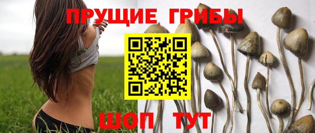 Галлюциногенные грибы MAGIC MUSHROOMS  Галлюциногенные грибы Cubensis  Пыть-Ях  Вход с VPN 
